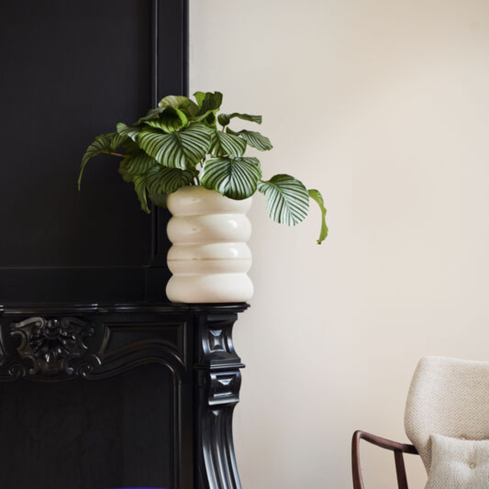 Chubby Kruka - White