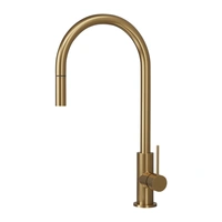 Kitchen Faucet Steel Accent Sand